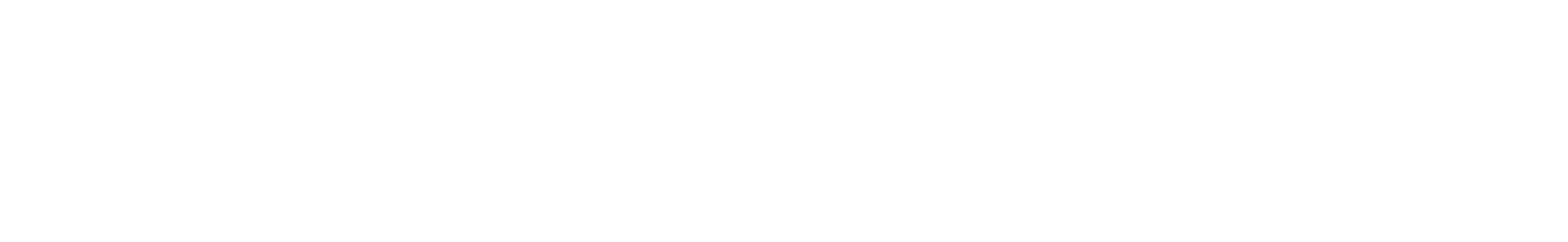 logo-transmartins